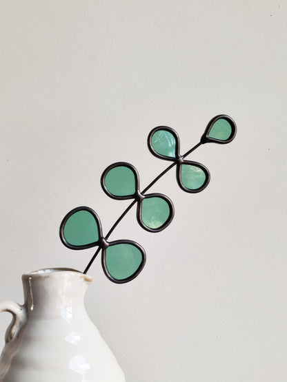 Eucalyptus tak "Fien"