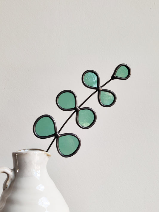 Eucalyptus tak "Fien"