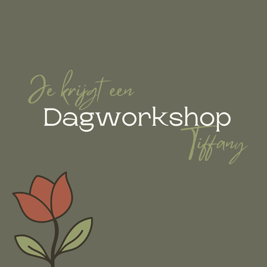 Cadeaubon dagworkshop Tiffany - glasraam