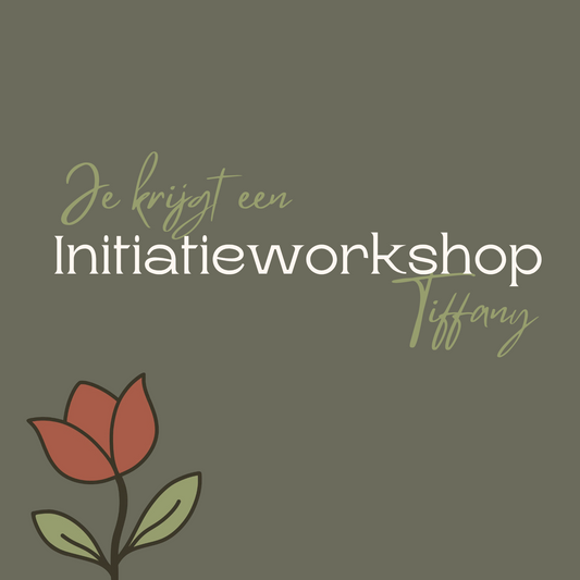 Cadeaubon initiatieworkshop Tiffany